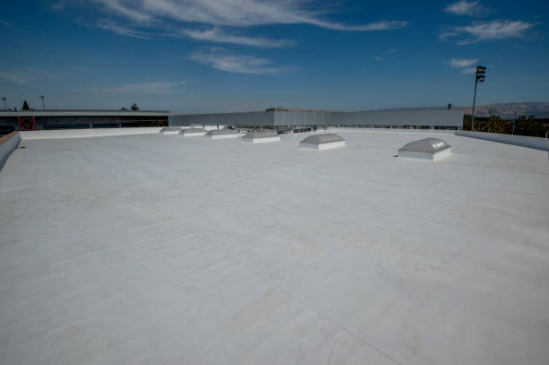 Best Roof Insulation Installation  in Fris, CO