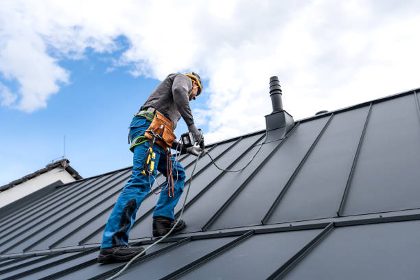 Professional Roofing service in Frisco, CO